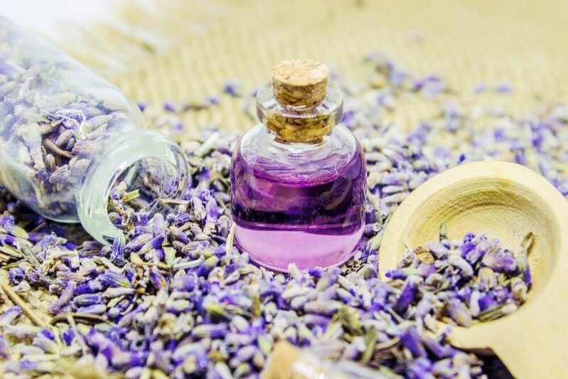 Lavanda yağının faydaları və zərərləri