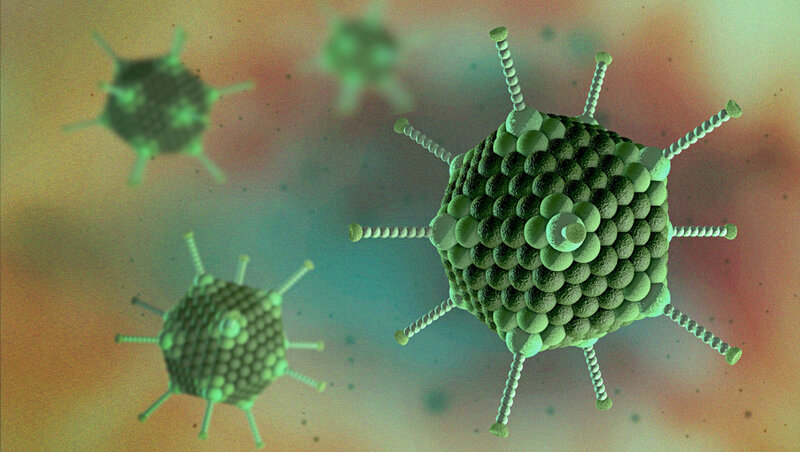 Adenovirus nədir?