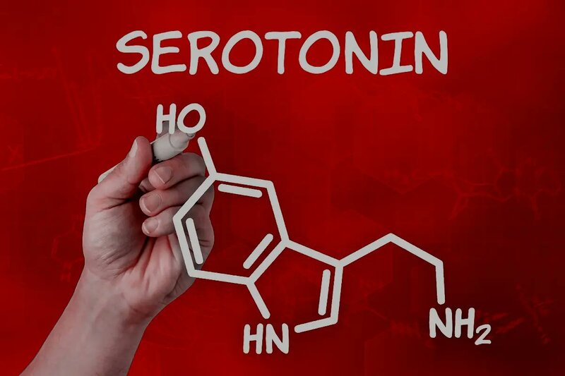 Vücudda serotoninin rolu nədir?