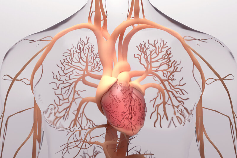 Aorta damarı yırtılması nədir?