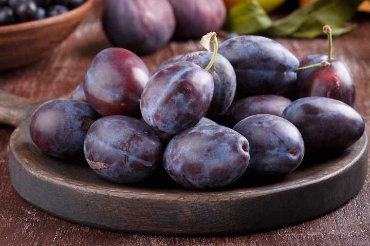 Gavalının faydaları və zərərləri