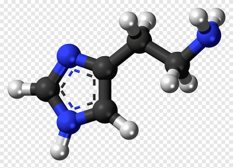 Histamin nədir?