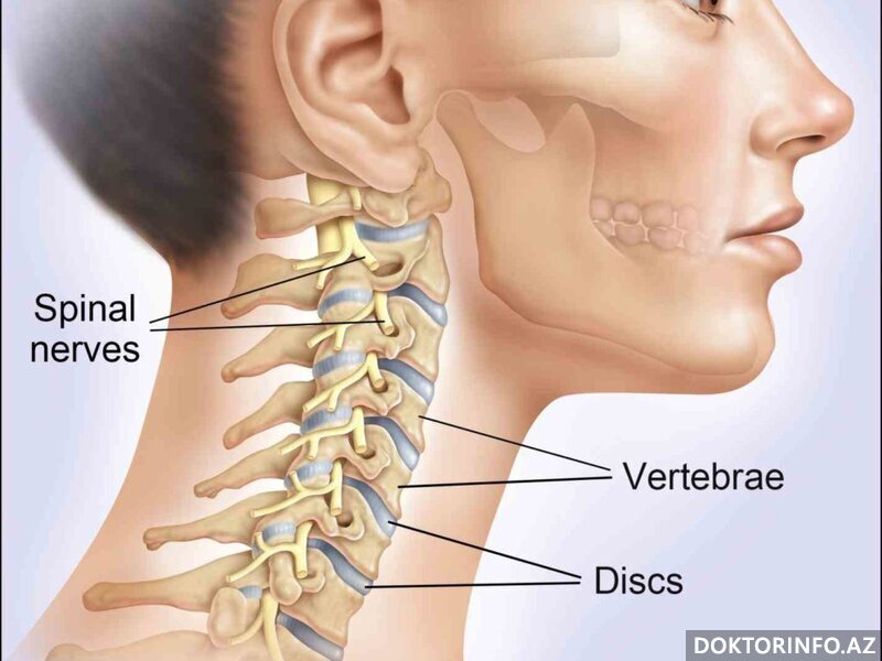 Servikal Vertebra xəstəlikləri nələrdir?